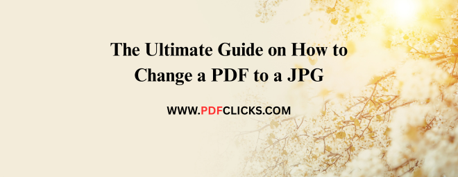 Convert PDF to JPG Online & Offline | Free Guide